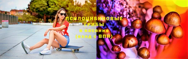 винт Бронницы