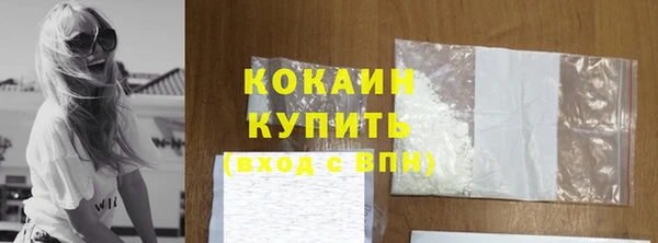 ешки Бородино