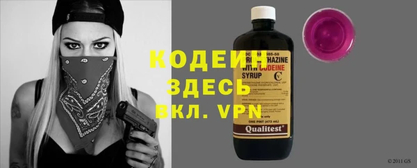 ешки Бородино