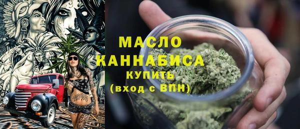 ешки Бородино
