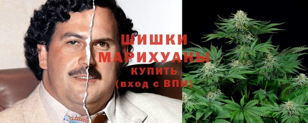 ешки Бородино